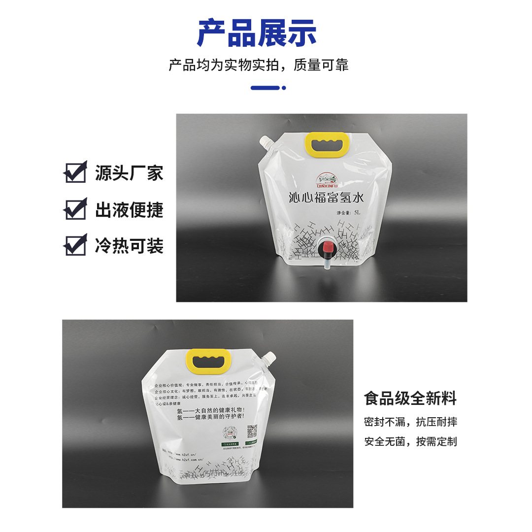Custom 5 L Dual-Outlet Stand-Up Liquid Pouch with Top Spout, Bottom Valve & Carry Handle