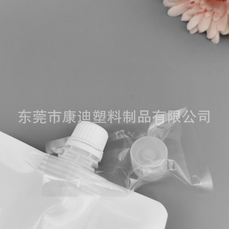 宽底双自立袋定制|大容量干货食品包装袋