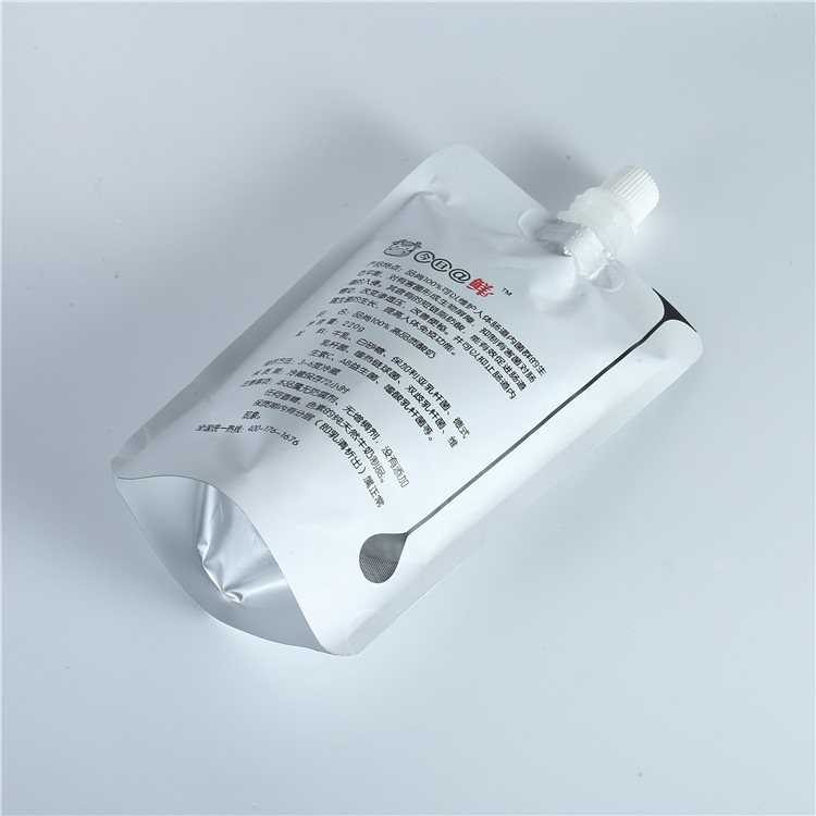 Custom Sports Hydration Spout Pouch | Double Stand-Up Water Bag for Outdoor Use