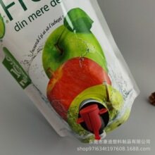 Multi Effect Floor Cleaner Stand-Up Pouch | PET/PE Liquid Detergent Packaging Bag
