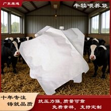 汽车机油袋 — PET/PE 两层复合液体包装袋