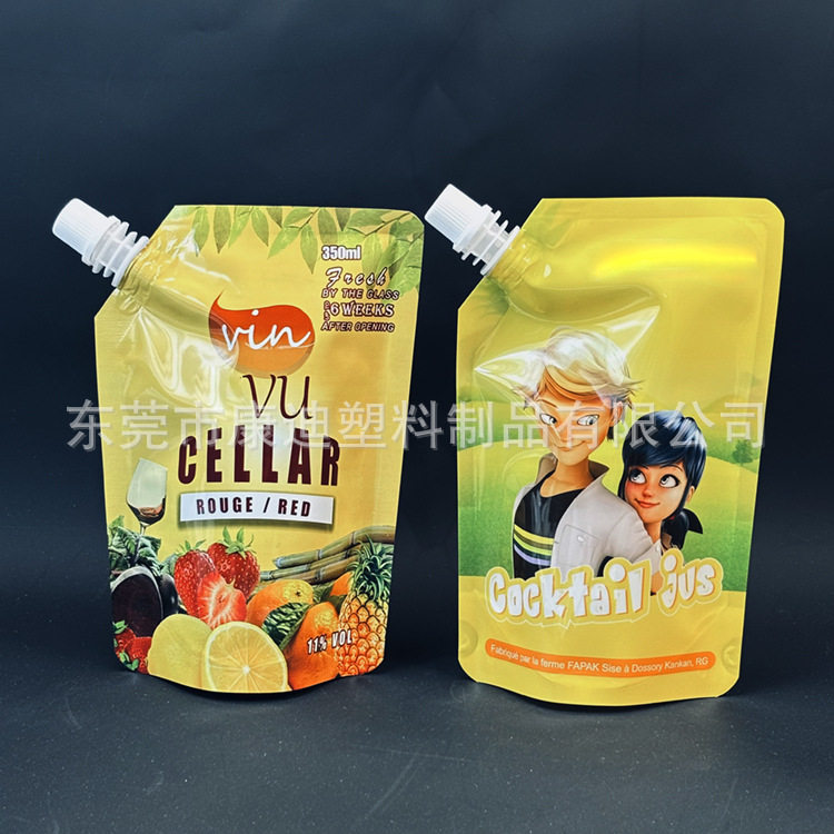 Custom Printed Stand-Up Spout Pouches 250ml–1L for Shampoo and Detergent Refills
